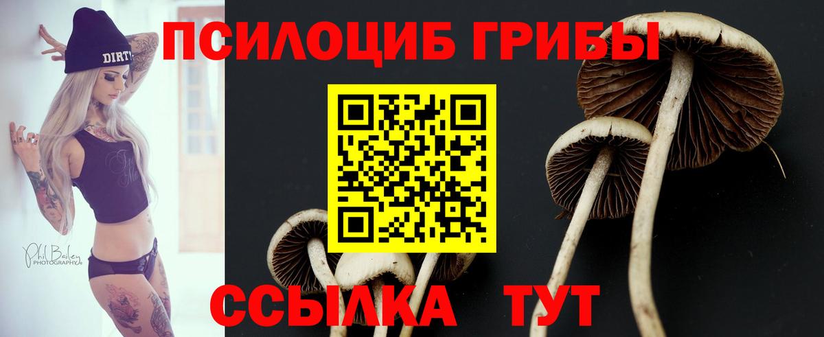 даркнет сайт  Псилоцибиновые грибы мухоморы  Вход с VPN  Минеральные Воды 